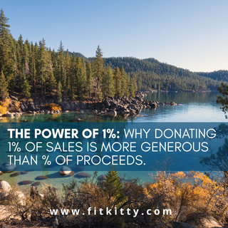 Philanthropy  The Power of 1%, why its more generous than % of proceeds