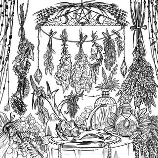 Green Witch's Coloring Book by Arin Murphy-Hiscock - Fitkitty Culture Athleisure Wear, Yoga Wear &  Women's Clothing