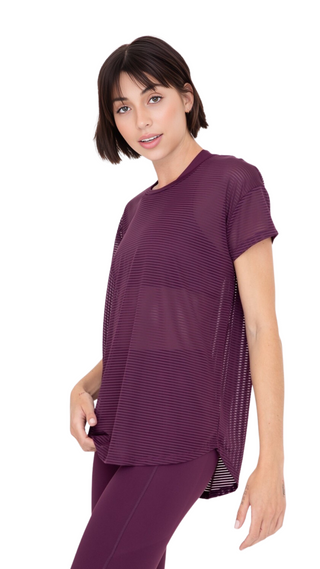 Sheer Striped Mesh Paneled Back Tee, Shirt, Fitkitty Culture, Fitkitty Culture