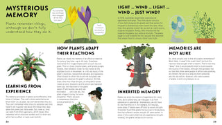 The Language of Plants: How Plants Communicate