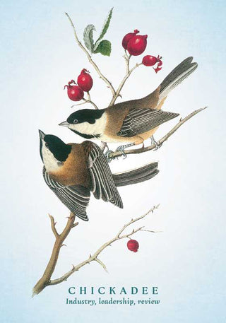 The Spiritual Meaning of Birds Oracle Deck