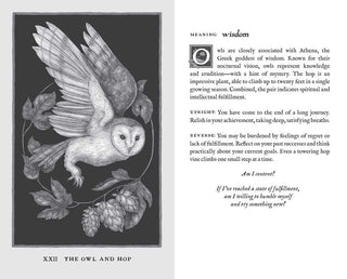 Woodland Wardens by Jessica  Roux - Fitkitty Culture Athleisure Wear, Yoga Wear &  Women's Clothing