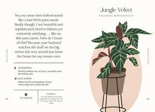 Houseplants and Their Fucked-Up Thoughts by Carlyle Christoff - Fitkitty Culture Athleisure Wear, Yoga Wear &  Women's Clothing