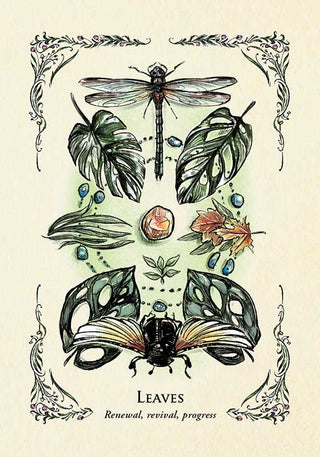 Green Witch's Oracle Deck by Arin Murphy-Hiscock - Fitkitty Culture Athleisure Wear, Yoga Wear &  Women's Clothing