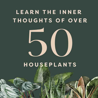 Houseplants and Their Fucked-Up Thoughts by Carlyle Christoff - Fitkitty Culture Athleisure Wear, Yoga Wear &  Women's Clothing