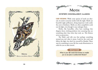 Green Witch's Oracle Deck by Arin Murphy-Hiscock - Fitkitty Culture Athleisure Wear, Yoga Wear &  Women's Clothing