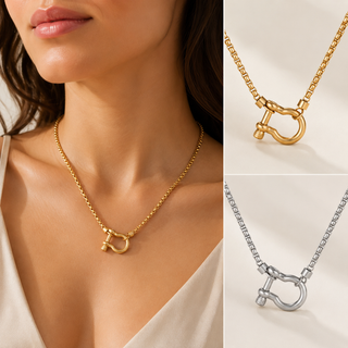 LuxeLink Horseshoe Carabiner Necklace