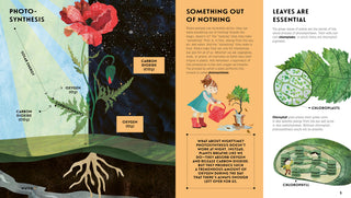 The Language of Plants: How Plants Communicate