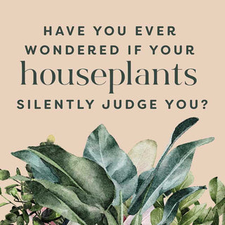 Houseplants and Their Fucked-Up Thoughts by Carlyle Christoff - Fitkitty Culture Athleisure Wear, Yoga Wear &  Women's Clothing