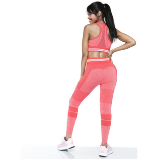 Look & Feel Your Best in Your Sporty Kitty Seamless Performance Leggings, Legging, Fitkitty Culture, Fitkitty Culture