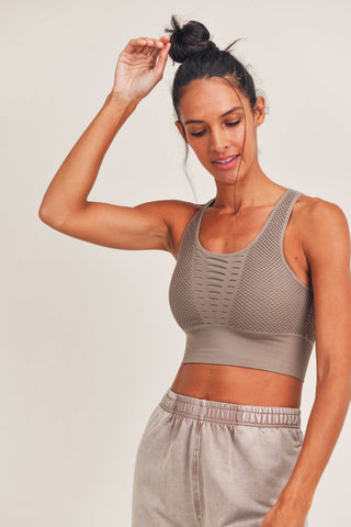 Bold Mesh Sports Bra, Sports Bra, Fitkitty Culture, Fitkitty Culture