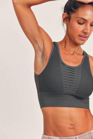 Bold Mesh Sports Bra, Sports Bra, Fitkitty Culture, Fitkitty Culture
